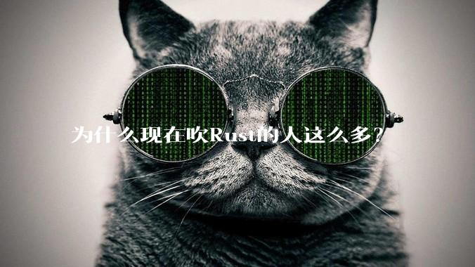 为什么现在吹Rust的人这么多？