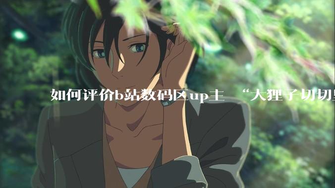 如何评价b站数码区up主 “大狸子切切里”?