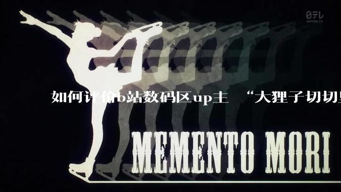 如何评价b站数码区up主 “大狸子切切里”?