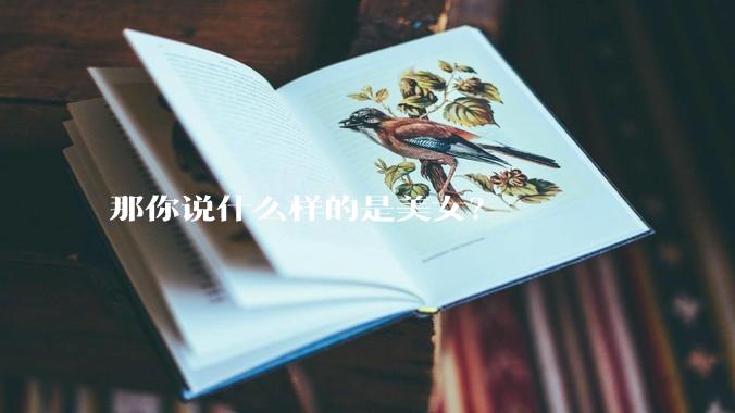 那你说什么样的是美女？