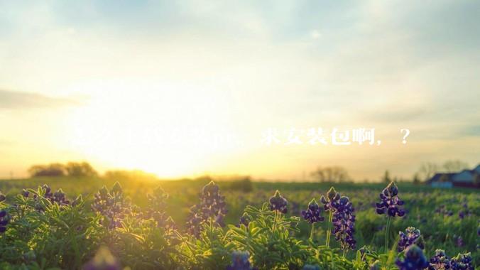 怎么下载安装pr，求安装包啊，？