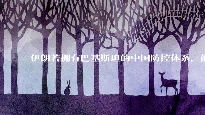 伊朗若拥有巴基斯坦的中国防控体系，能否把美国的B2轰炸机打下来？如果打下会对世界局势产生什么影响？