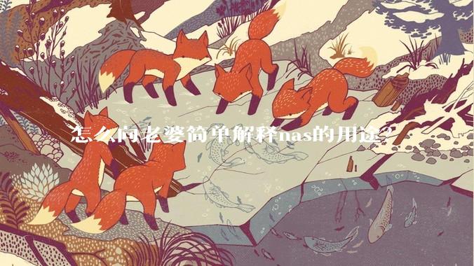 怎么向老婆简单解释nas的用途？