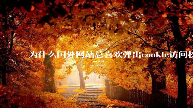 为什么国外网站总喜欢弹出cookie访问权限弹窗，国内网站却没有，这么做有什么意义？