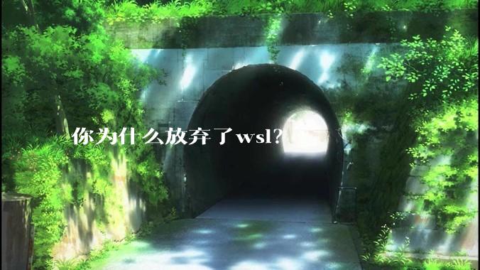 你为什么放弃了wsl？