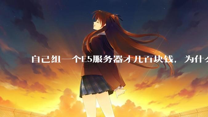 自己组一个E5服务器才几百块钱，为什么去阿里云租这么贵?