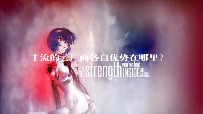主流的云厂商各自优势在哪里？